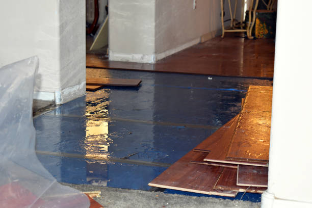 Professional Sewage Cleanup technician working in Edward, NC
